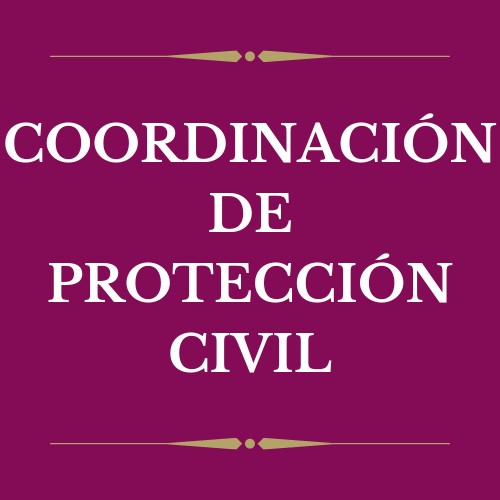 5. protección civil