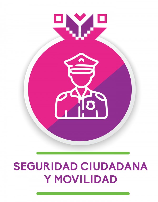 SEGURIDAD CIUDADANA
