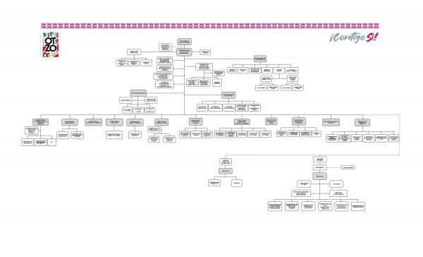 ORGANIGRAMA