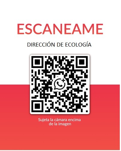 DIRECCIÓN DE ECOLOGIA